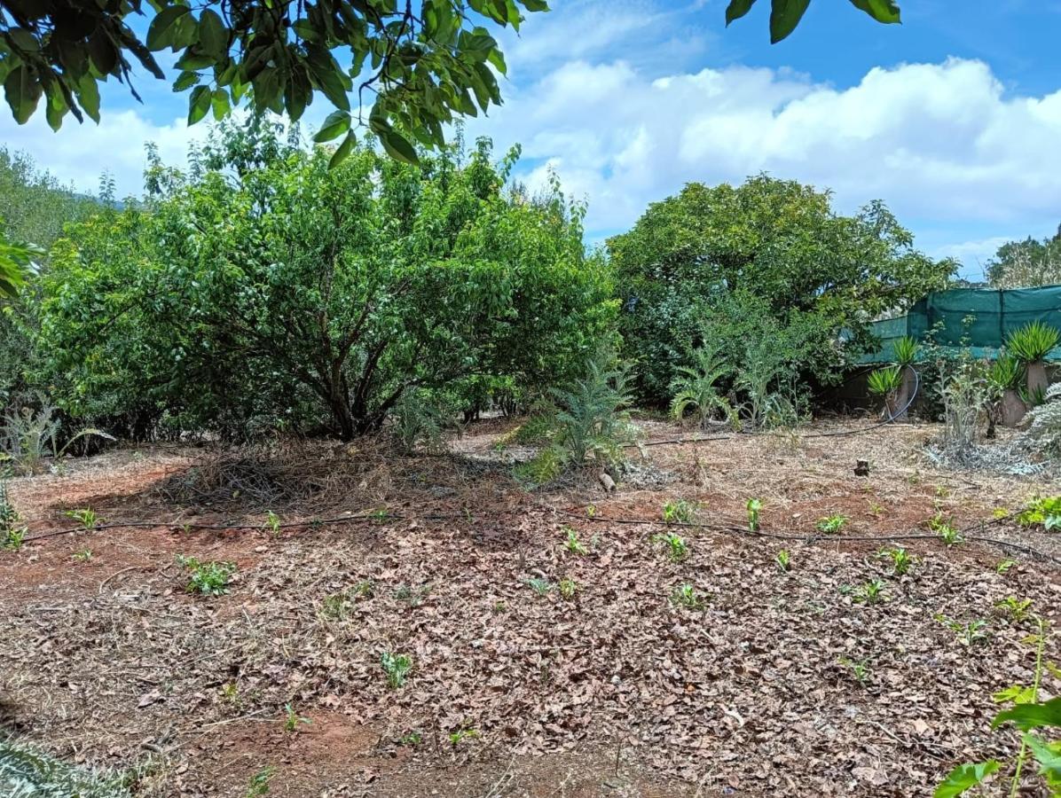 Villa Almagre Gáldar Esterno foto